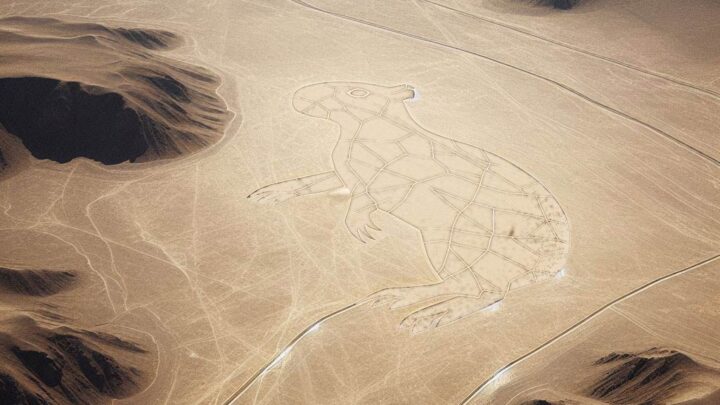 Geoglifo del Capibara, Nazca, Perù